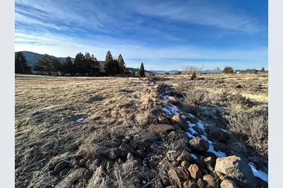 12 Wrangler Trail, Loyalton, CA 96118 - Photo 6