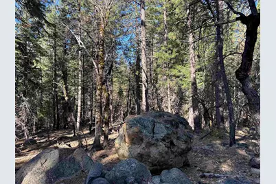 6049 Genesee Road, Genesee, CA 95983 - Photo 8