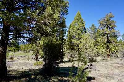502 Great Spirit, Portola, CA 96122 - Photo 12