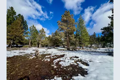502 Great Spirit, Portola, CA 96122 - Photo 22