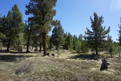 502 Great Spirit, Portola, CA 96122 - Photo 4