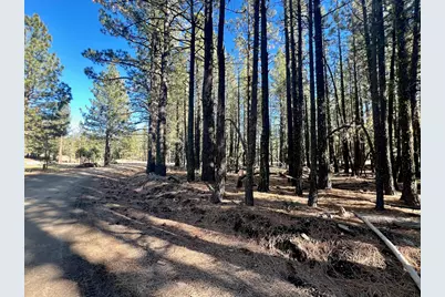 71849 Carrie Court Trail, Delleker, CA 96122 - Photo 18