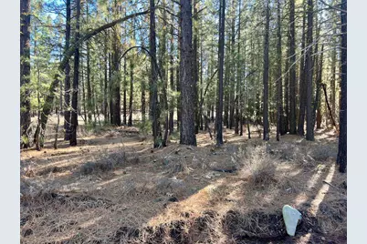 71849 Carrie Court Trail, Delleker, CA 96122 - Photo 10