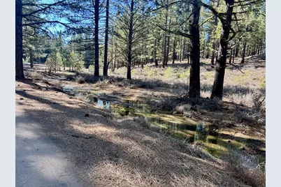 71849 Carrie Court Trail, Delleker, CA 96122 - Photo 2