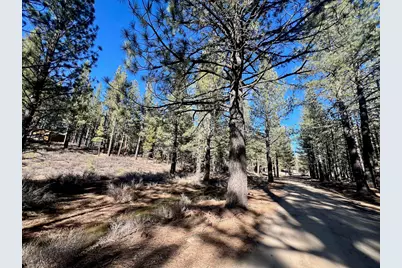 71849 Carrie Court Trail, Delleker, CA 96122 - Photo 4