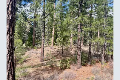 856 Prospector Drive, Clio, CA 96106 - Photo 4