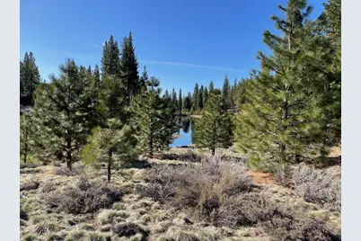 328 Blacktail Ridge, Portola, CA 96122 - Photo 2