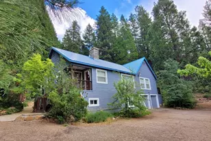 60139 Mt Tomba Rd, Graeagle, CA 96103 - Photo 10