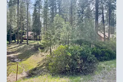 325 Eureka Springs Drive, Blairsden, CA 96103 - Photo 2