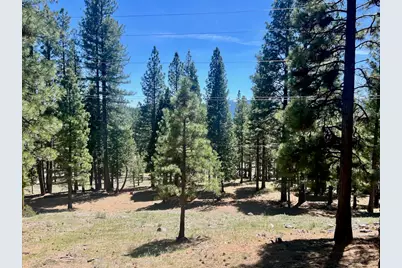 69867 Woodside Drive, Blairsden, CA 96103 - Photo 28