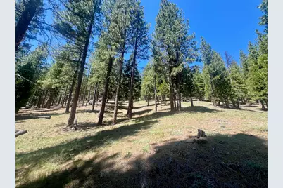 69867 Woodside Drive, Blairsden, CA 96103 - Photo 16
