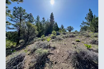 492 Clouds Rest, Portola, CA 96122 - Photo 16