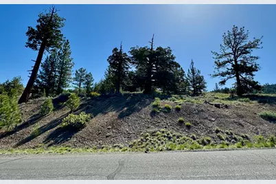 492 Clouds Rest, Portola, CA 96122 - Photo 4