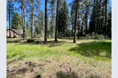 375 Eureka Springs Drive, Blairsden, CA 96103 - Photo 22