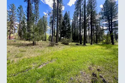 375 Eureka Springs Drive, Blairsden, CA 96103 - Photo 26
