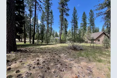 375 Eureka Springs Drive, Blairsden, CA 96103 - Photo 12