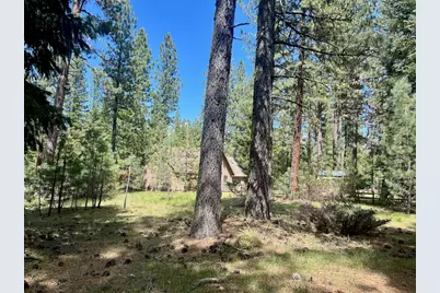375 Eureka Springs Drive, Blairsden, CA 96103 - Photo 14