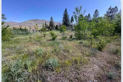 225 Greenville Wolf Creek Road, Greenville, CA 95947 - Photo 1