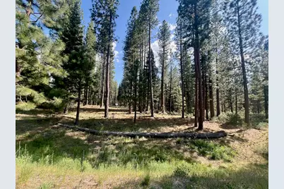 670 Redtail Loop, Clio, CA 96106 - Photo 12