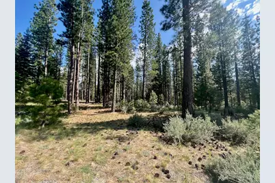670 Redtail Loop, Clio, CA 96106 - Photo 2