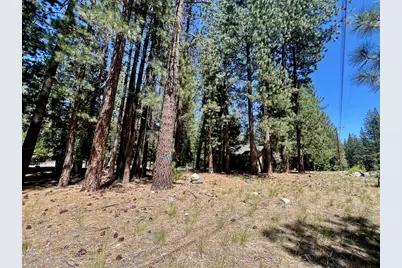 38 Tolowa Trail, Graeagle, CA 96103 - Photo 4