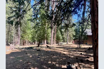 38 Tolowa Trail, Graeagle, CA 96103 - Photo 12