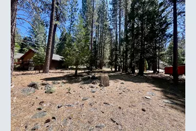 38 Tolowa Trail, Graeagle, CA 96103 - Photo 18