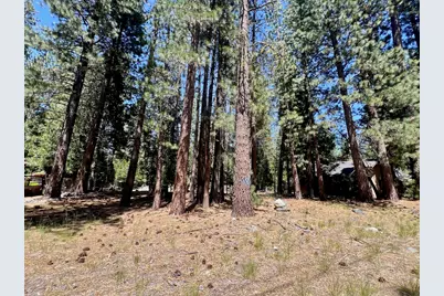 38 Tolowa Trail, Graeagle, CA 96103 - Photo 10