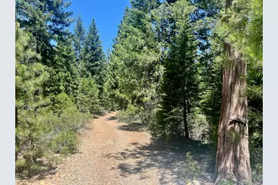 910 Mountain Drive, Johnsville, CA 96103 - Photo 1