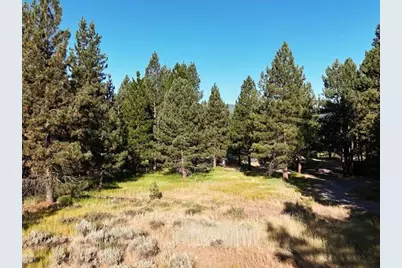 1116 Little Bear Road, Blairsden, CA 96103 - Photo 24