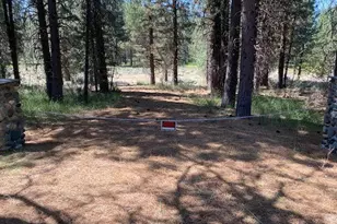1116 Little Bear Rd, Blairsden, CA 96103 - Photo 1