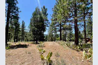 1924 Grizzly Ranch Road, Portola, CA 96122 - Photo 22