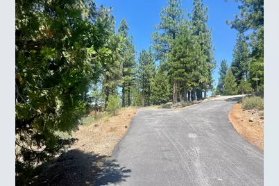 1924 Grizzly Ranch Road, Portola, CA 96122 - Photo 8
