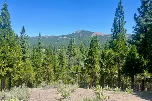 1924 Grizzly Ranch Rd, Portola, CA 96122 - Photo 1