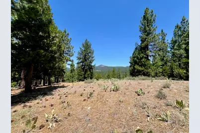 1924 Grizzly Ranch Road, Portola, CA 96122 - Photo 14