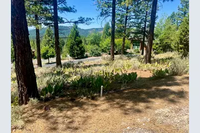 1924 Grizzly Ranch Road, Portola, CA 96122 - Photo 12