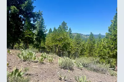 1924 Grizzly Ranch Road, Portola, CA 96122 - Photo 18