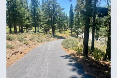 1924 Grizzly Ranch Road, Portola, CA 96122 - Photo 26