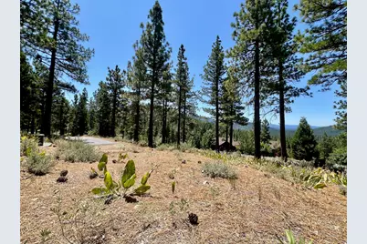 1924 Grizzly Ranch Road, Portola, CA 96122 - Photo 24