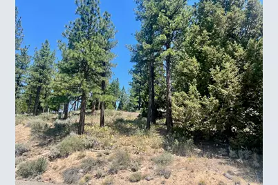 1924 Grizzly Ranch Road, Portola, CA 96122 - Photo 4