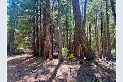 1701 Knobcone Trail, Johnsville, CA 96103 - Photo 2