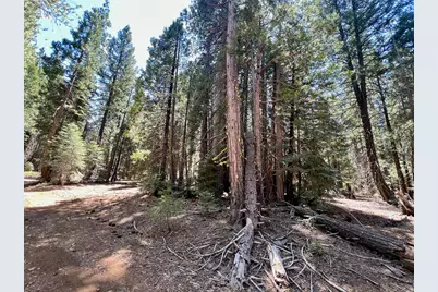 1701 Knobcone Trail, Johnsville, CA 96103 - Photo 10