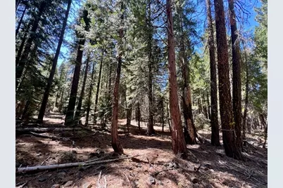 1701 Knobcone Trail, Johnsville, CA 96103 - Photo 18