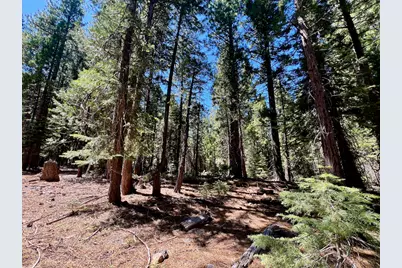 1701 Knobcone Trail, Johnsville, CA 96103 - Photo 20