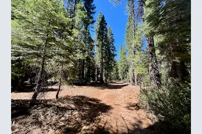 1701 Knobcone Trail, Johnsville, CA 96103 - Photo 4