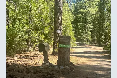 1701 Knobcone Trail, Johnsville, CA 96103 - Photo 22