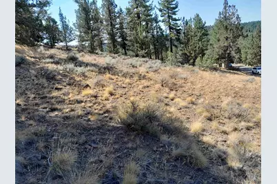 757 Dancing Bears #5, Portola, CA 96122 - Photo 1