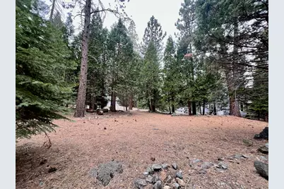 61 Paiute Trail, Graeagle, CA 96103 - Photo 10