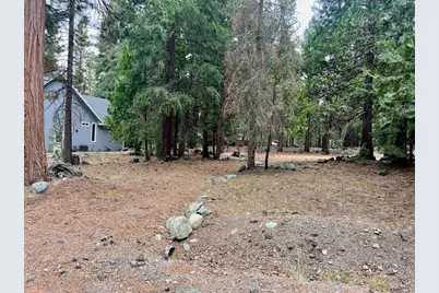 61 Paiute Trail, Graeagle, CA 96103 - Photo 2