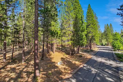 181 Quail View Circle, Clio, CA 96106 - Photo 4